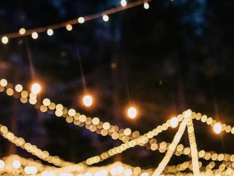 The Wedding Website of Stanley Koho and Sydney Daniels