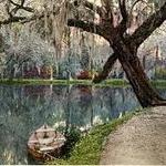 Magnolia Plantation and Gardens