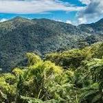 El Yunque National Forest