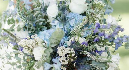 Alexandra Jai Stapleton and Isaac Lee Robinson's Wedding Website