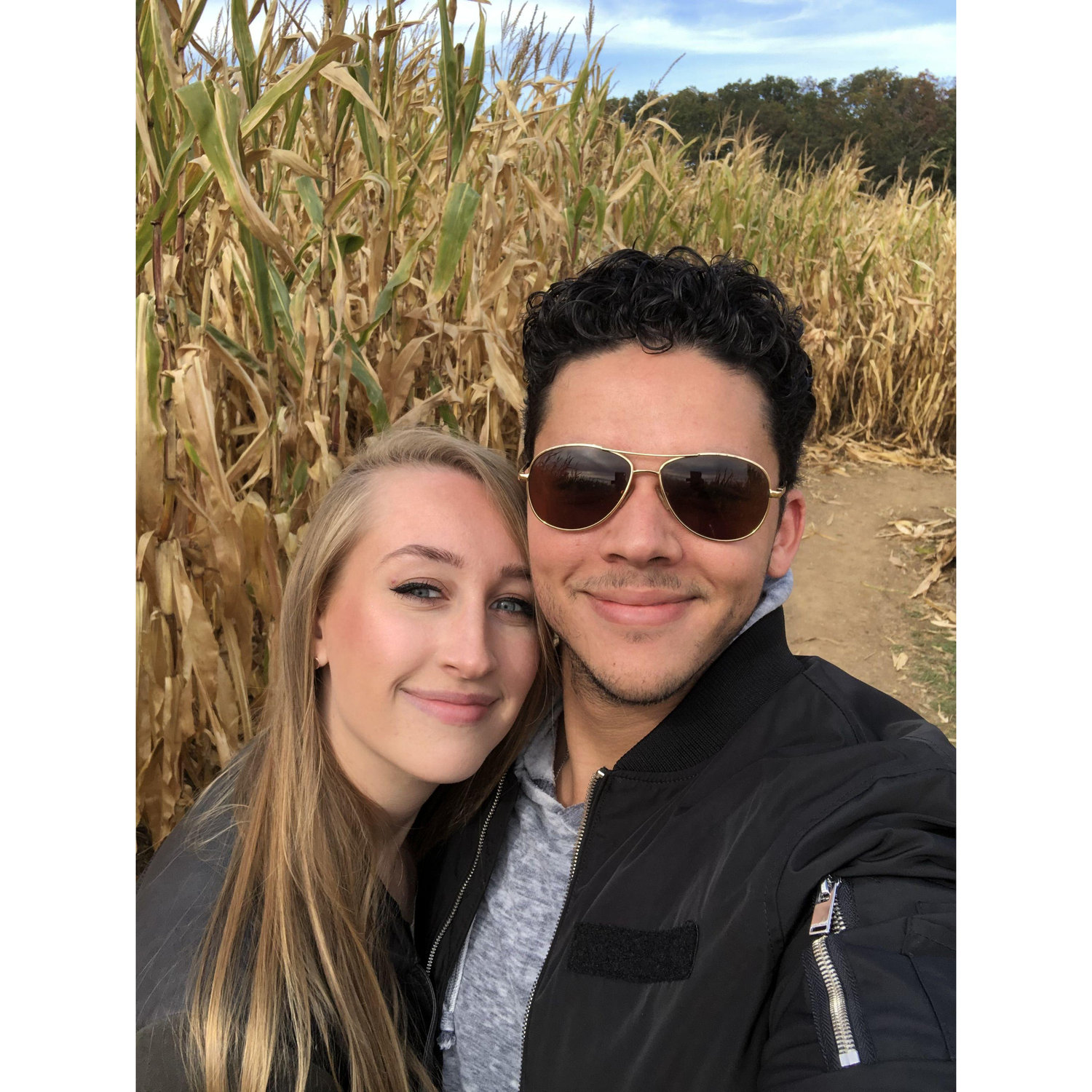 Corn maze