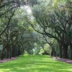 Charles Towne Landing State Park