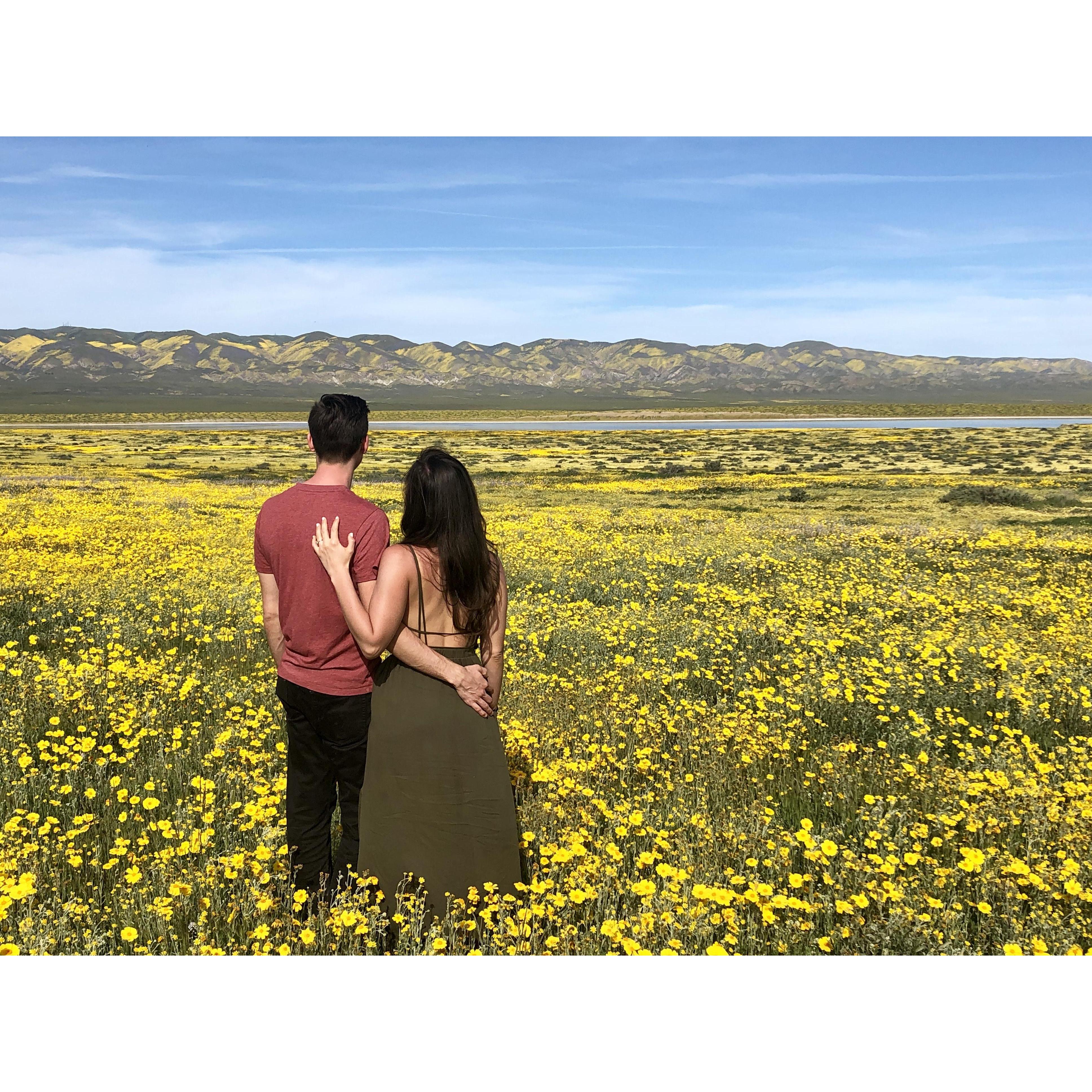 Carrizo Plain National Monument - April 2019