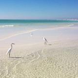 Siesta Key Beach