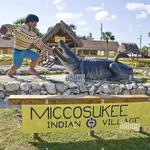 miccosukee indian village