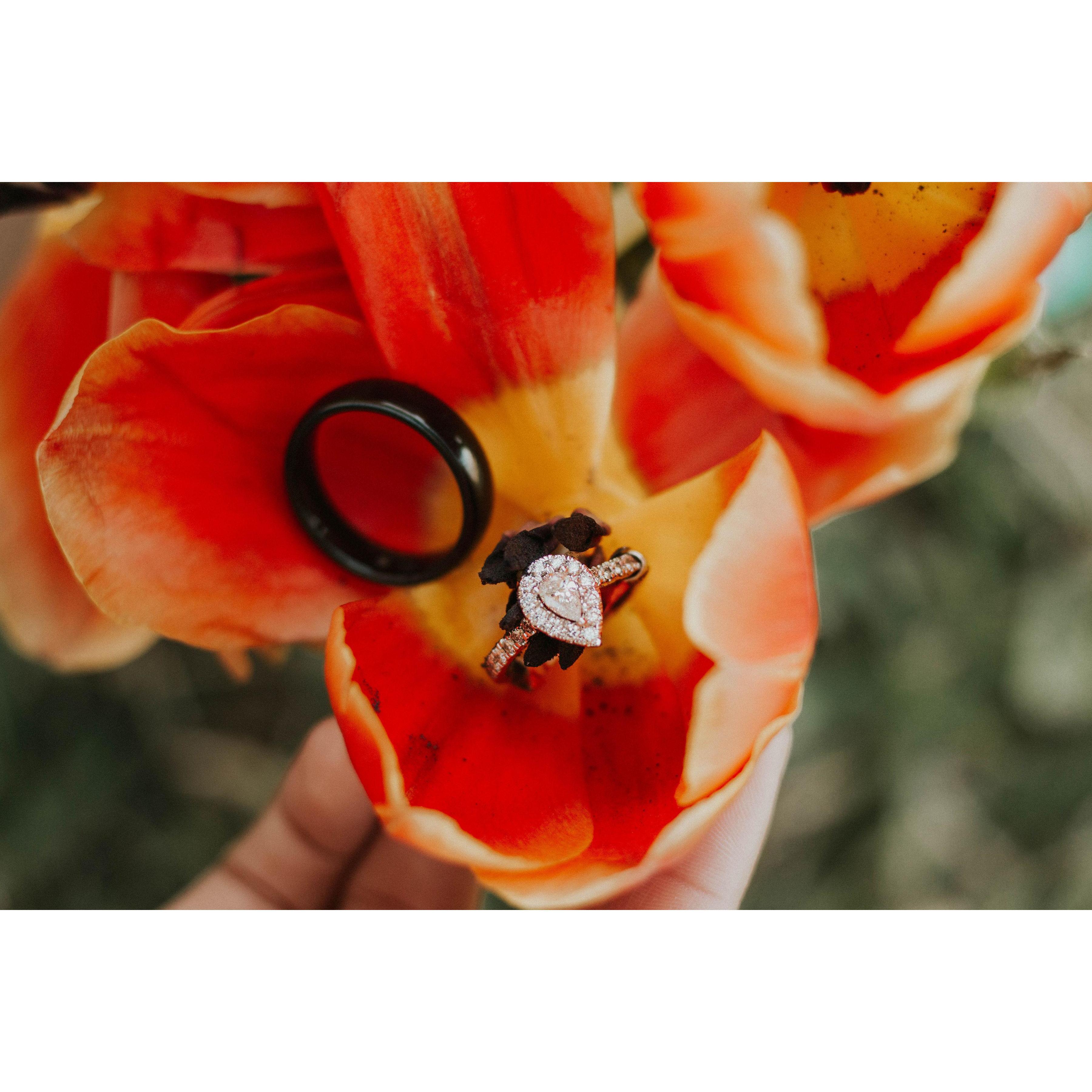 The Rings!