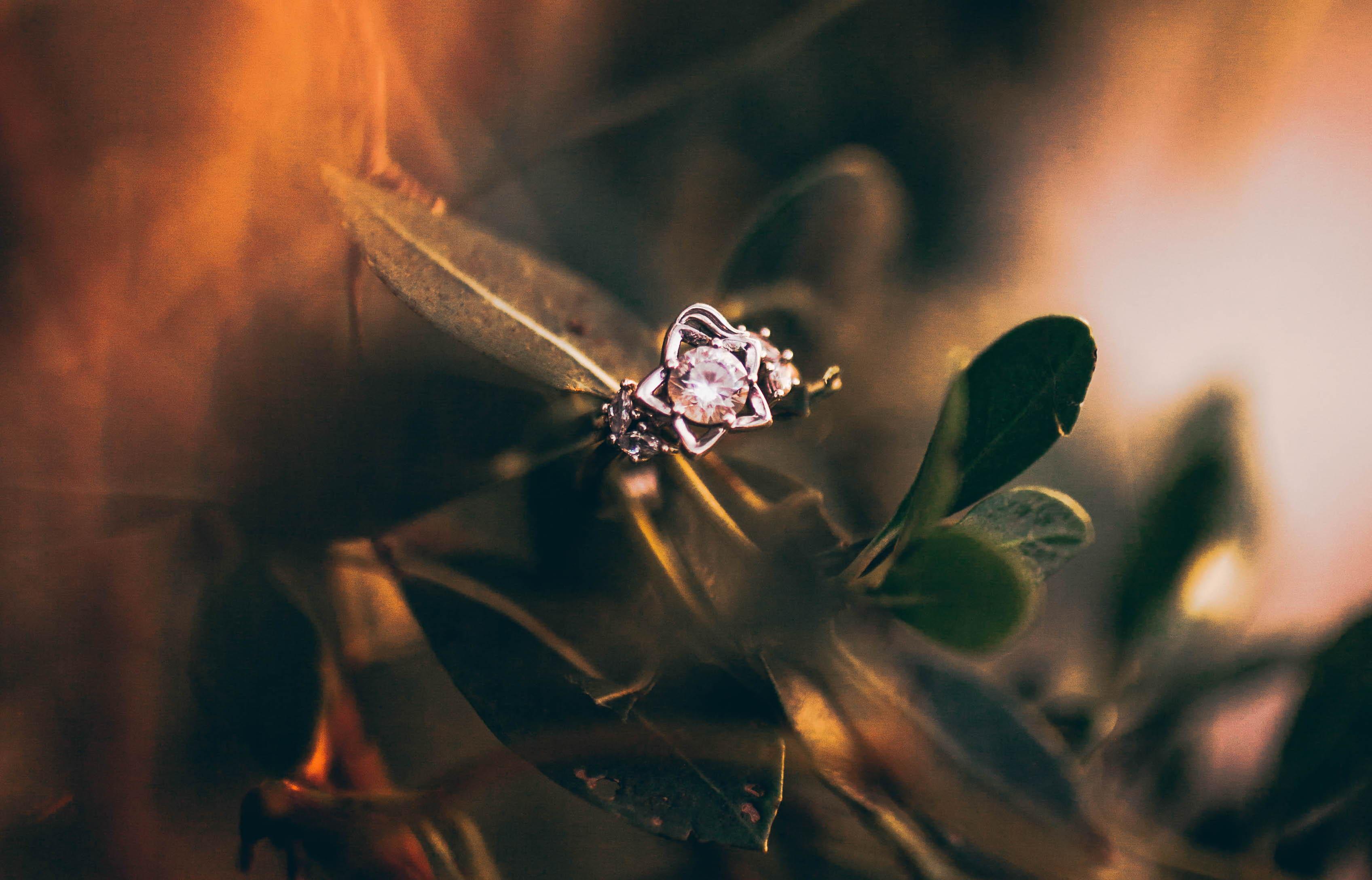 The Wedding Website of Marina Wells and Gabriel Hotchner