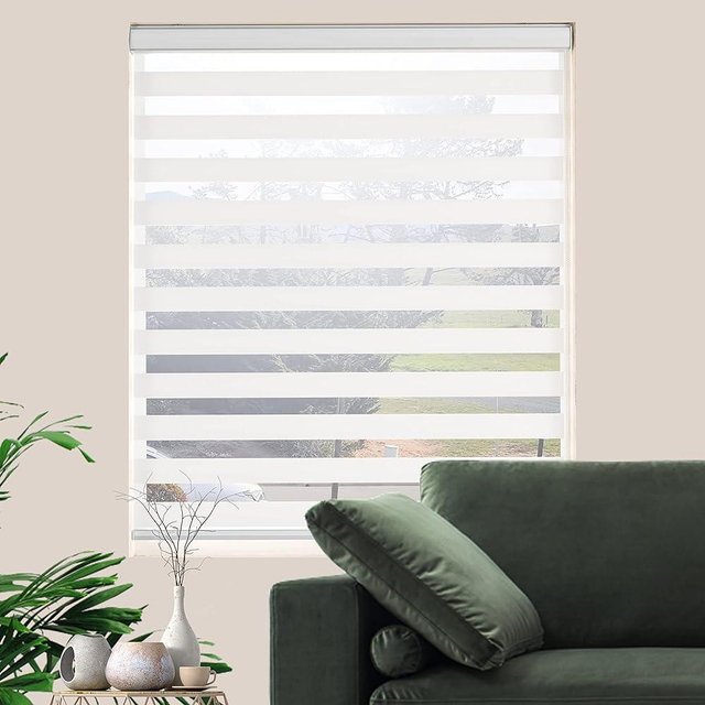 JIANGPIN TEXTILE Zebra Roller Shades, Dual Layer Roll Up Blind for Living Room, Semi Sheer Shades Window Privacy Light Control for Day and Night, (Maximum Height 72inch, White Color, Width 26 inch)