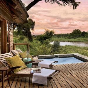 Safari Honeymoon Fund