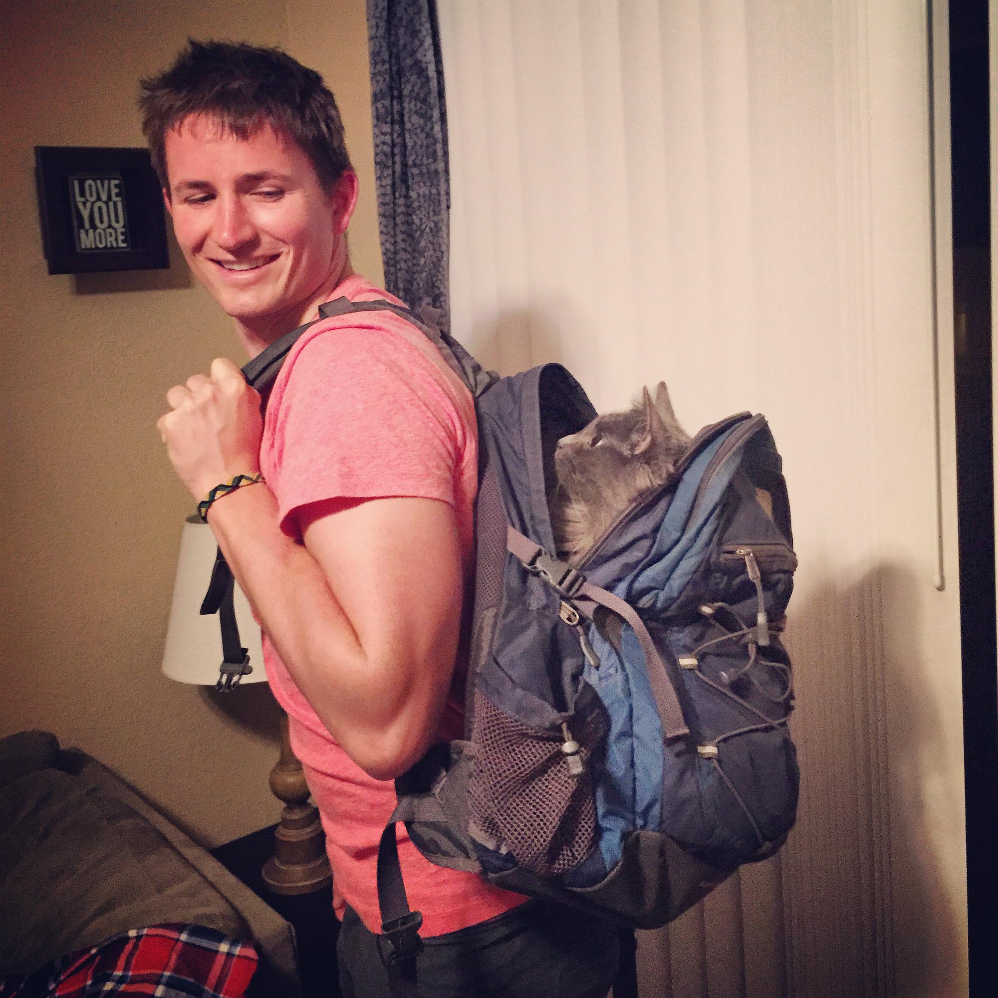 We call this one...cat in the backpack...