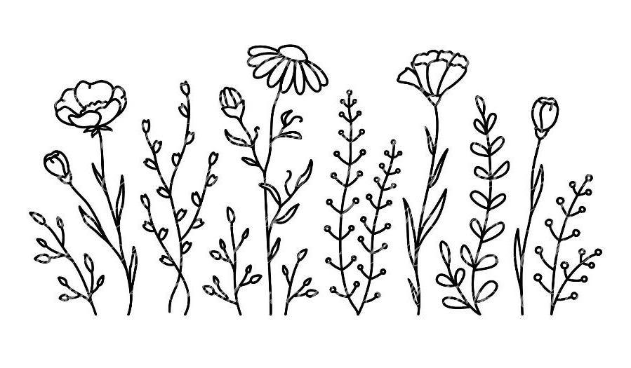 Footer image