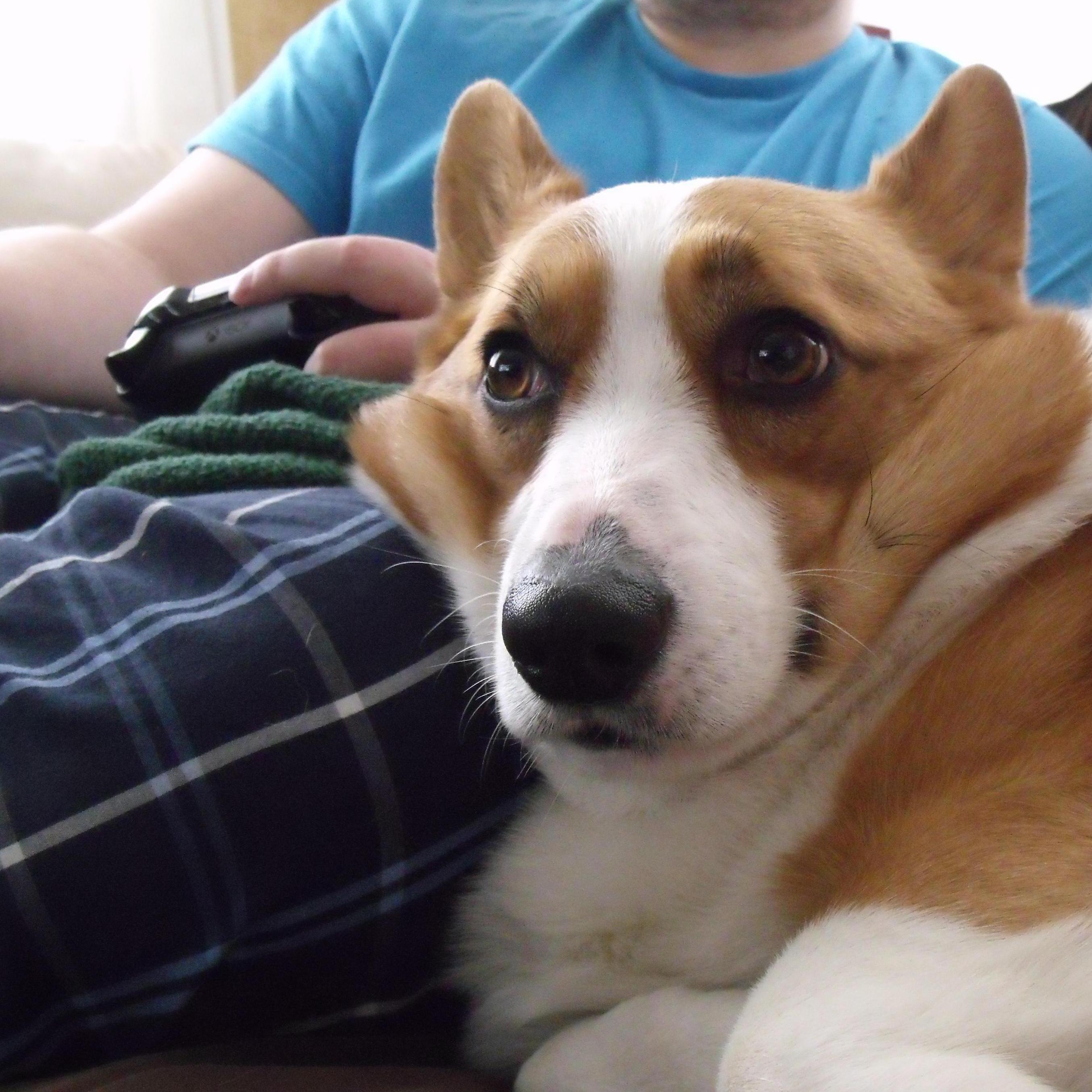 Gaming with Daddy