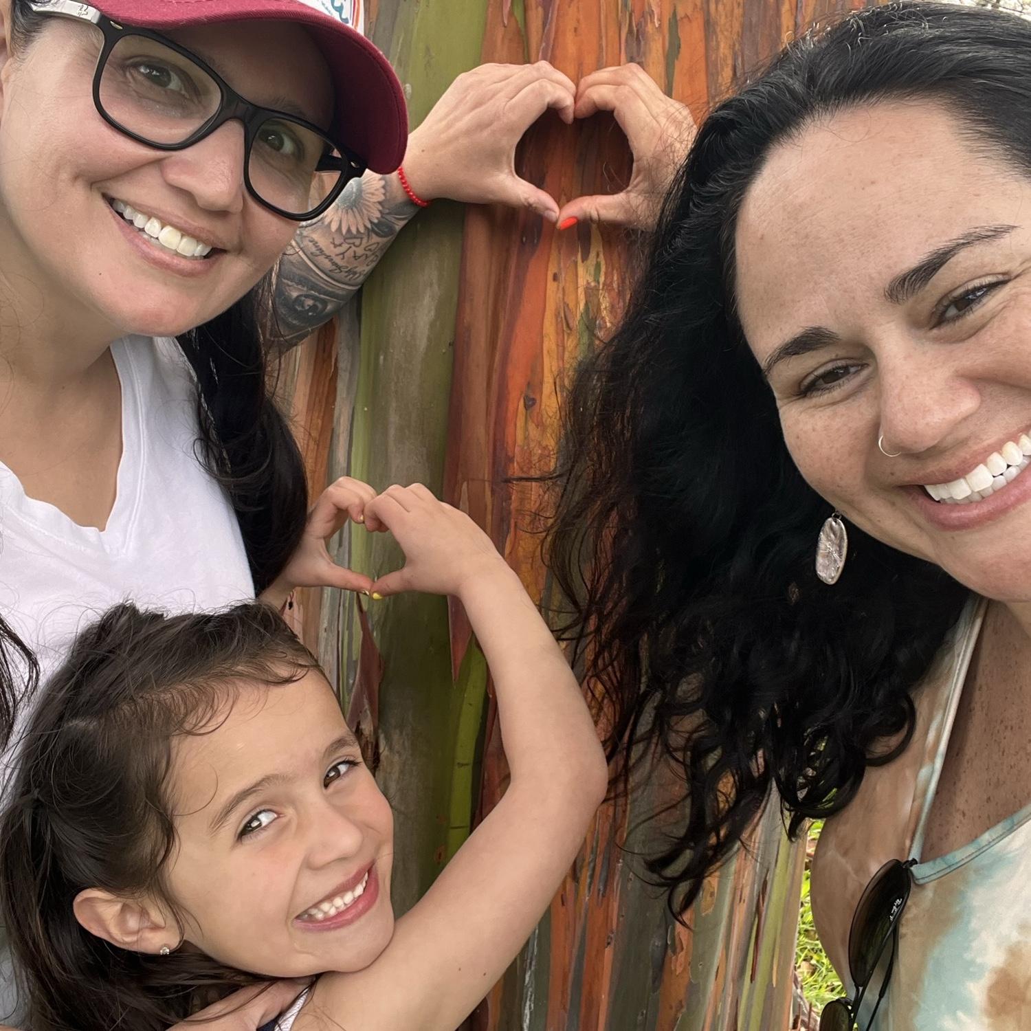Rainbow Eucalyptus tree - Kauai