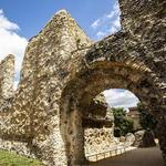 Reading Abbey Ruins