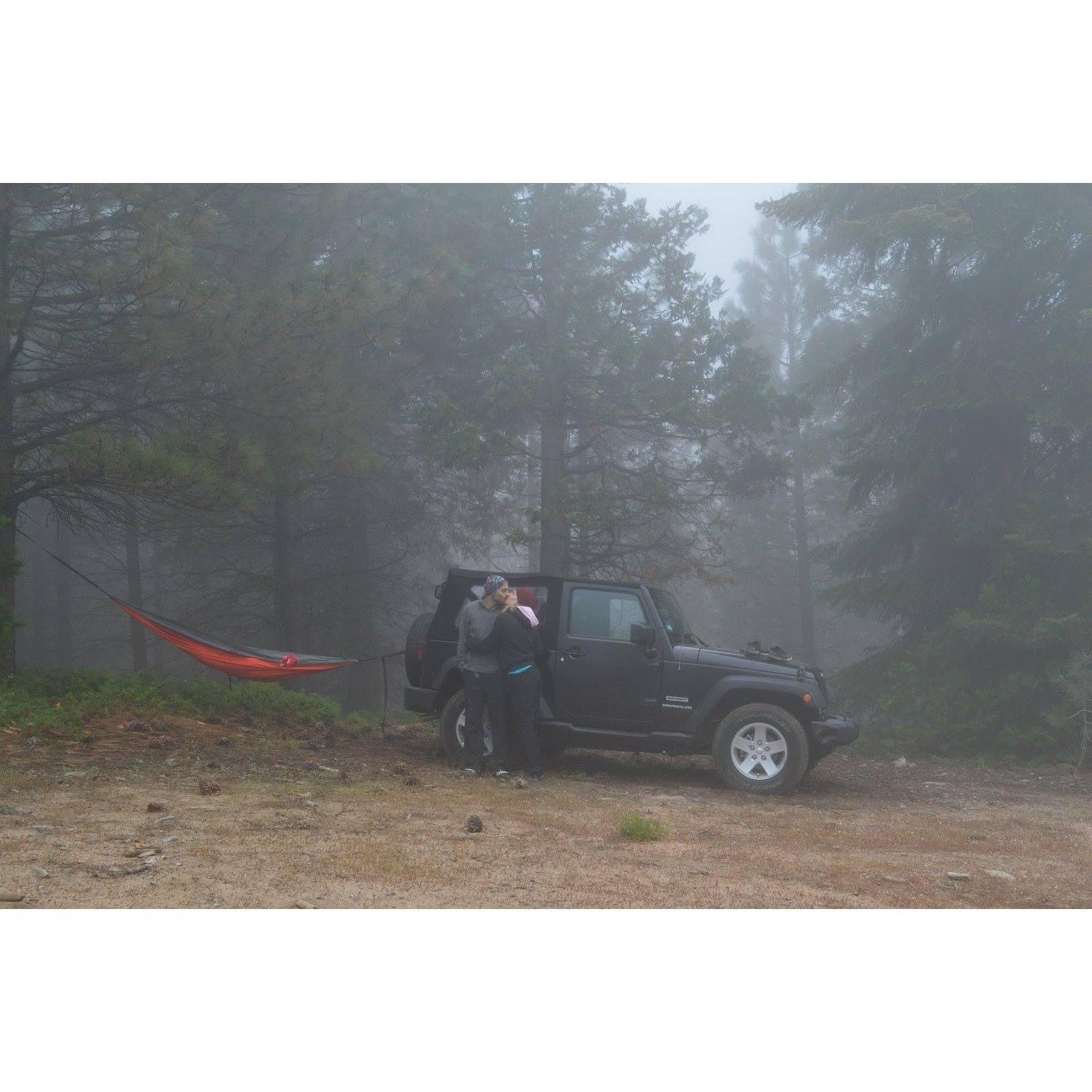 Sequoia National Forest, Summer 2017.