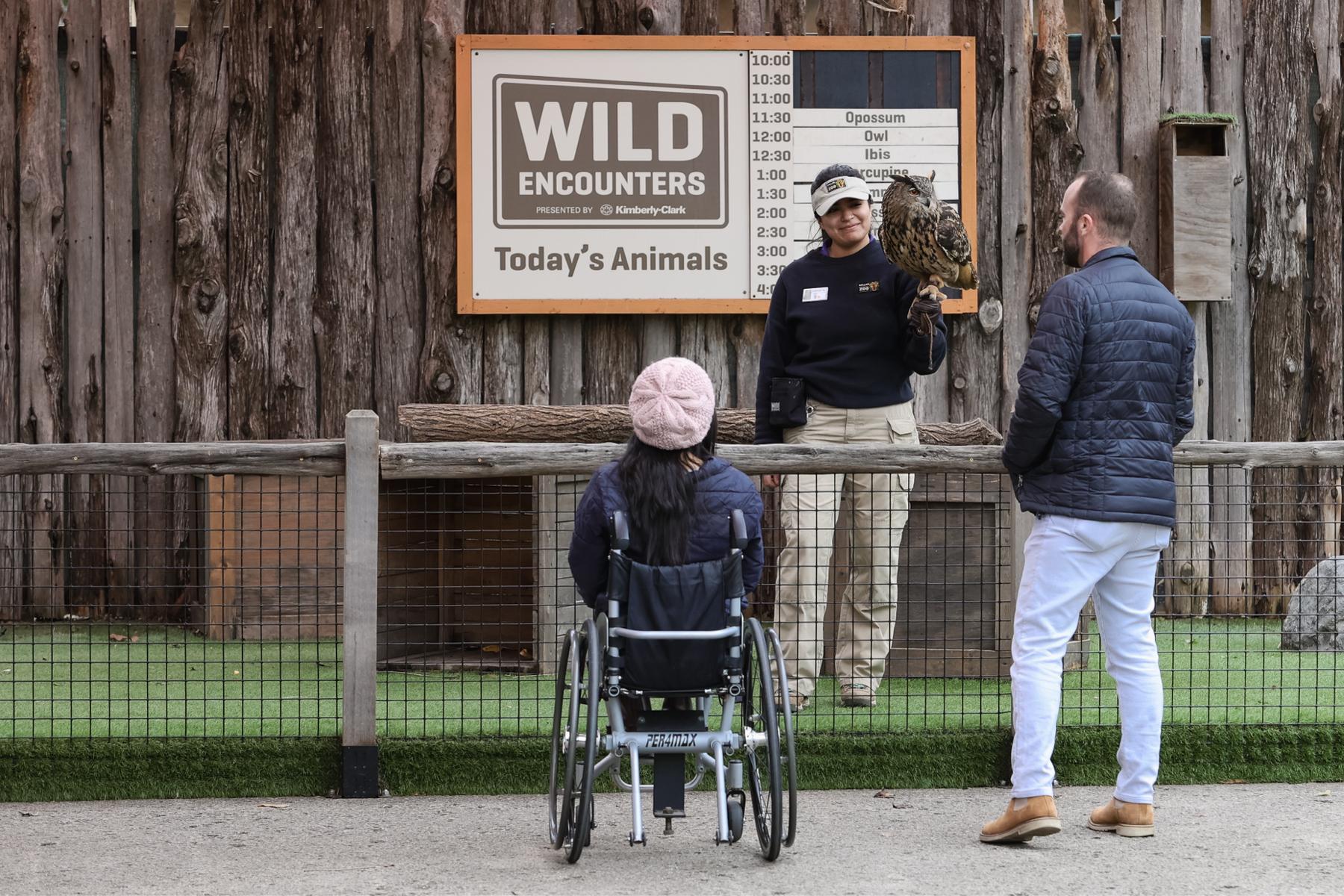 We happened to show up at the next showing for the Owl Wild Encounters show, and right at noon. What are the odds?
