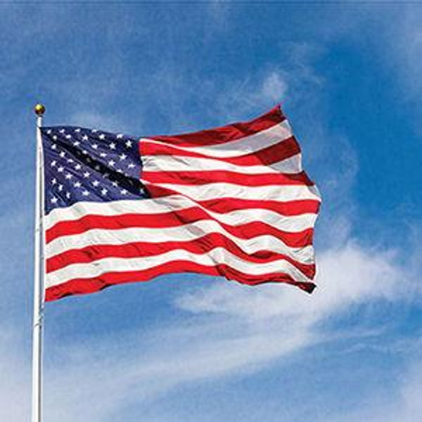 Vinces Gun Fund