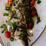 Scala Osteria