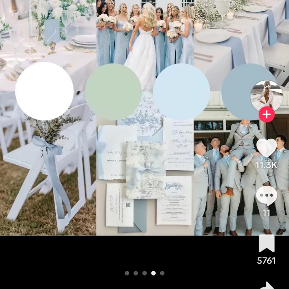 THESE ARE OUR WEDDING COLORS!