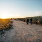 Exploration Acres
