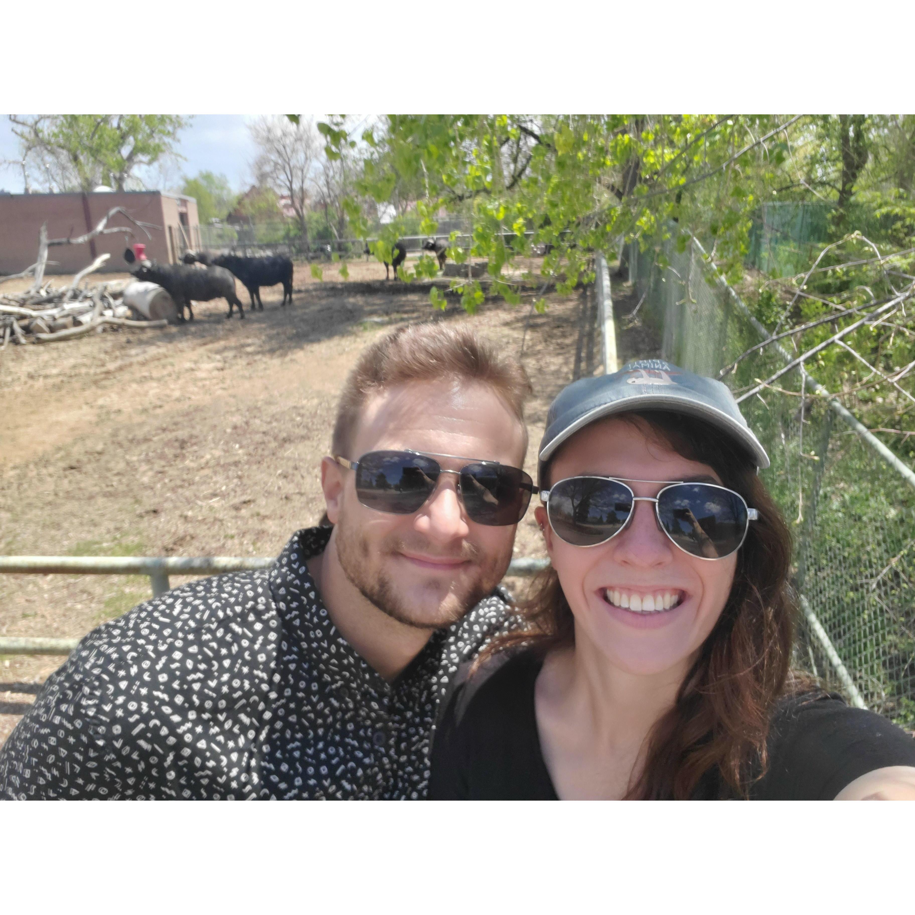 fun at the zoo!