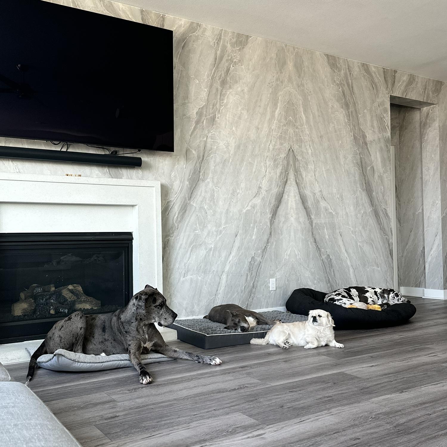 The real homeowners.