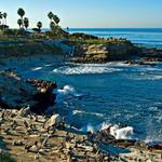 La Jolla Shores Beach
