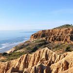 Torrey Pines State Reserve