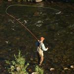 Fly Fishing