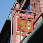 The Ugly Dog