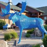 Blue Moose Bar & Grill