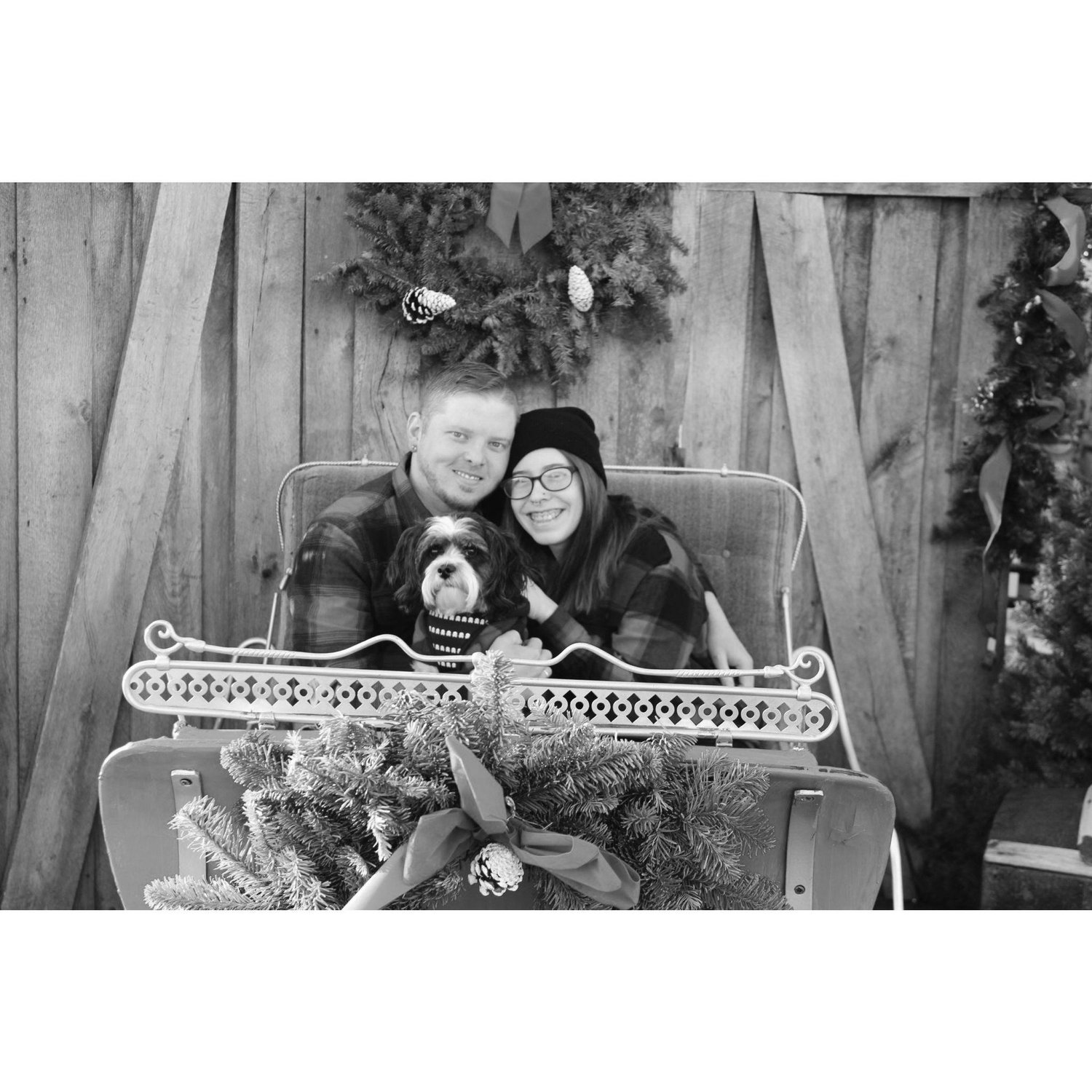 Christmas pictures 2021