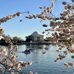 DC Monuments & Memorials