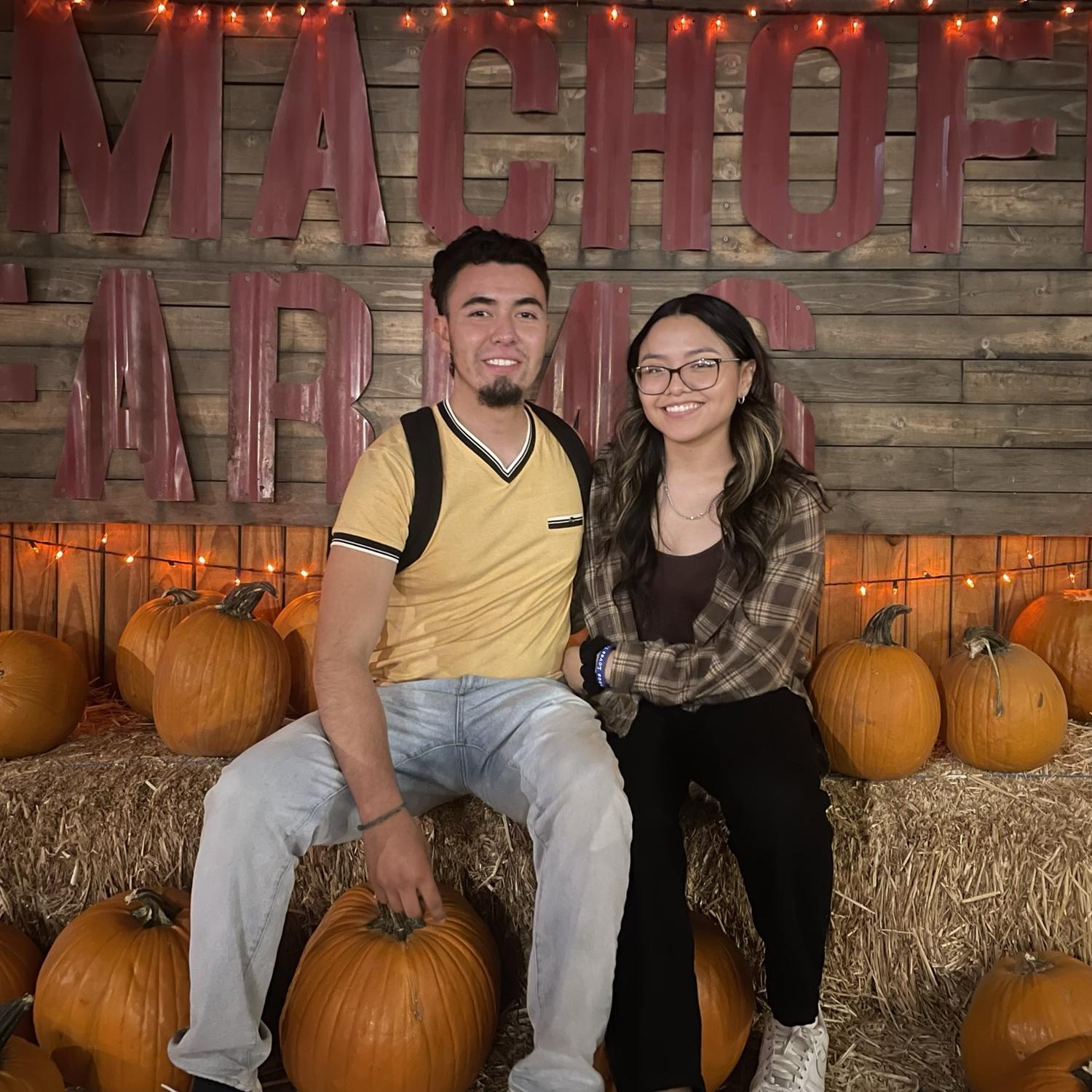 (2023) pumpkin patch🧡
