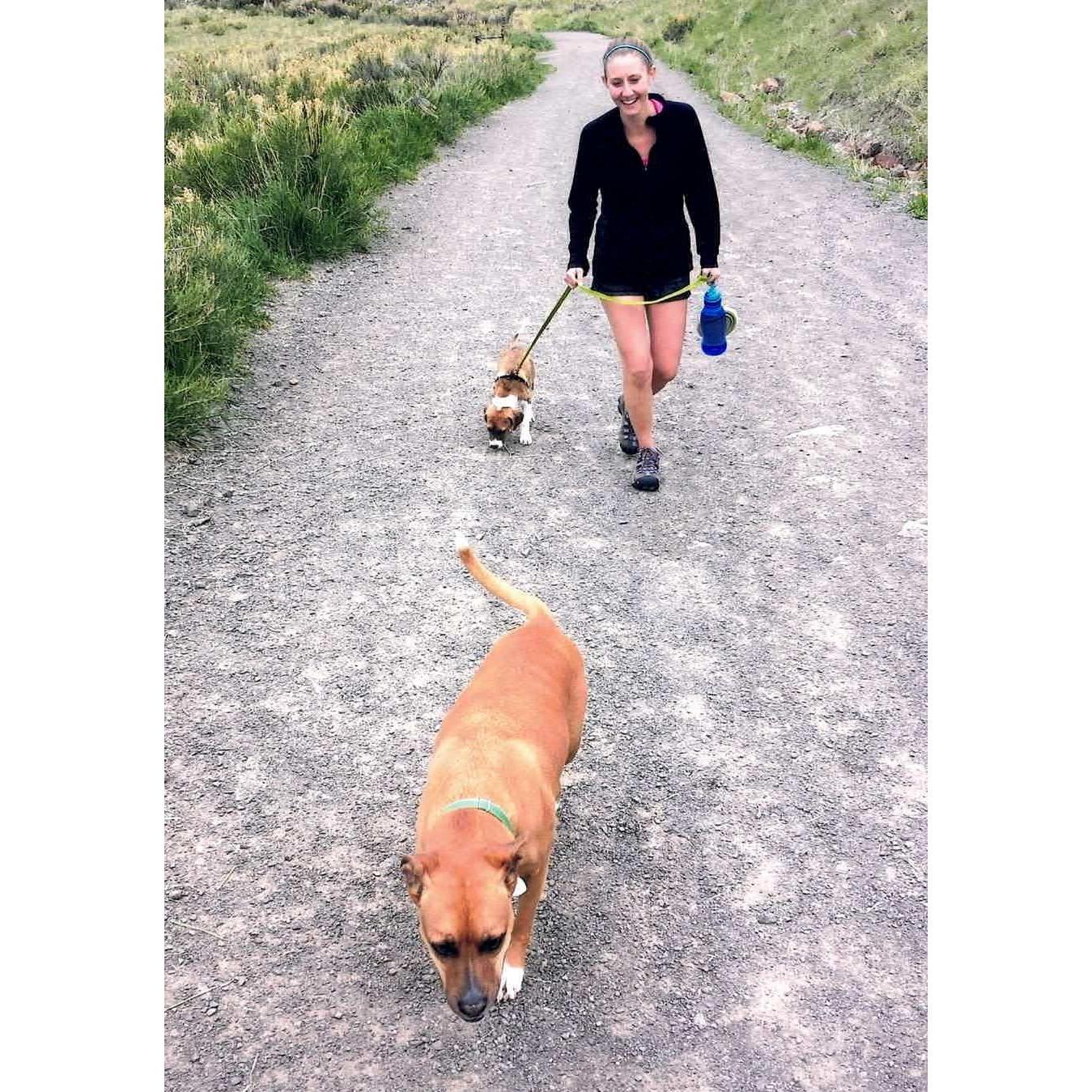 Auggie as a puppy and Kali leading the pack!