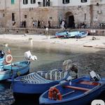 Monopoli