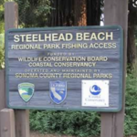Steelhead Beach
