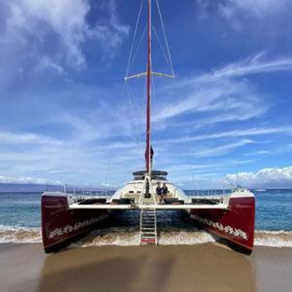 Honeymoon Catamaran Day trip