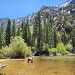 Lundy Lake
