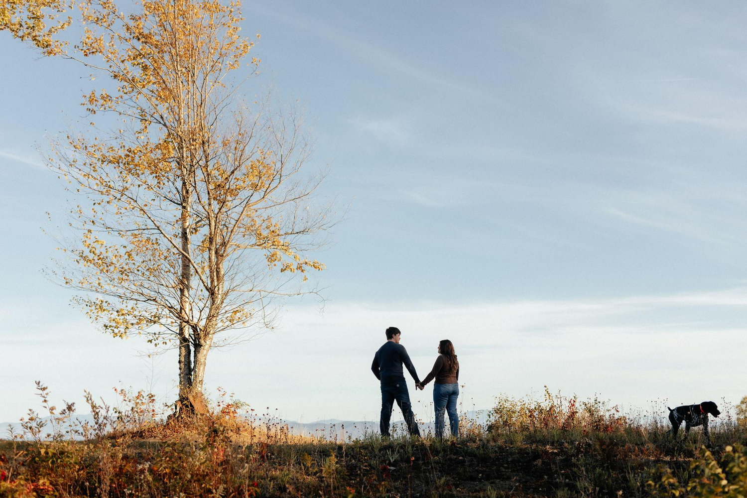 The Wedding Website of Celia Heath and Adam Whitcomb