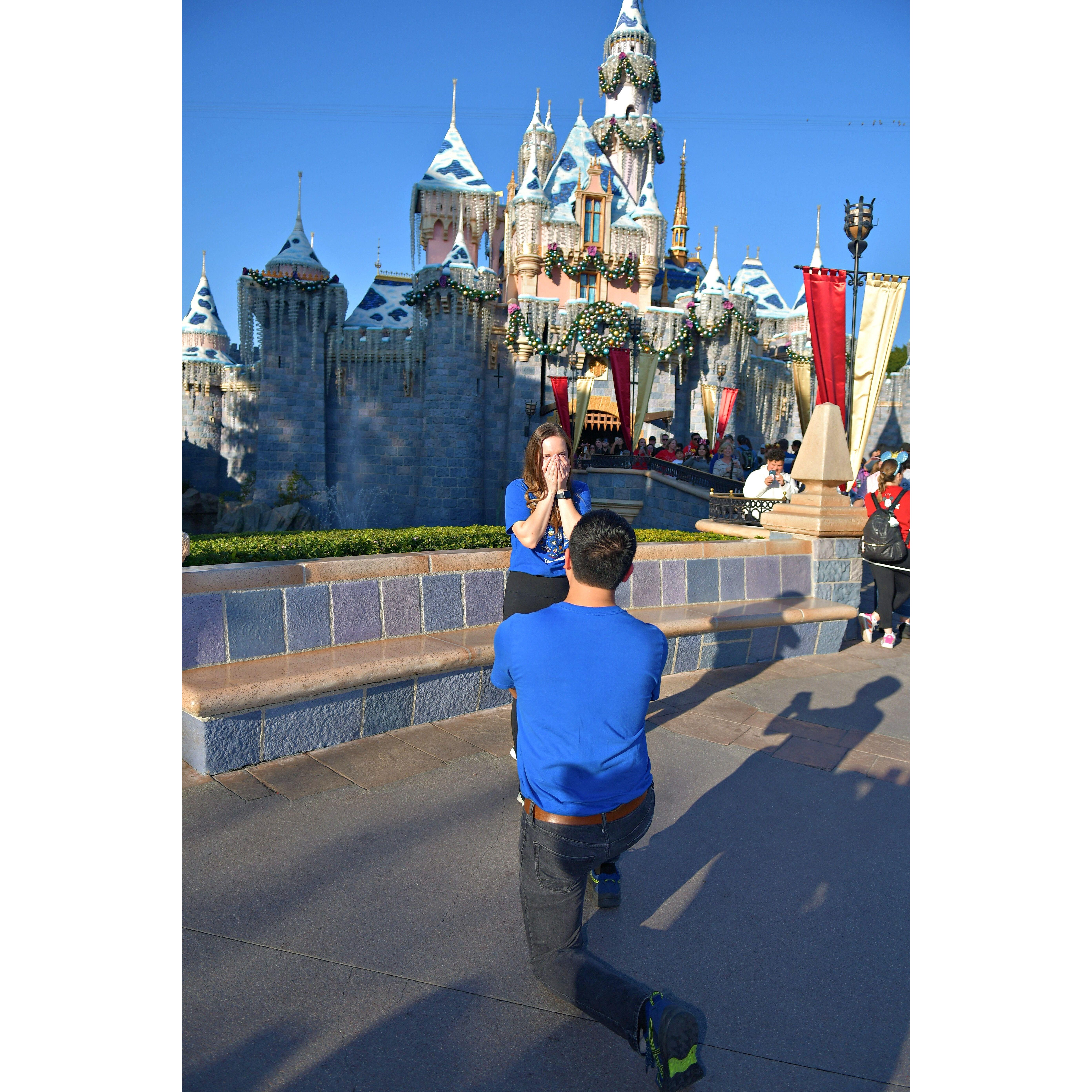 The Fairytale Proposal!!!
