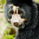 Zoológico de Cali