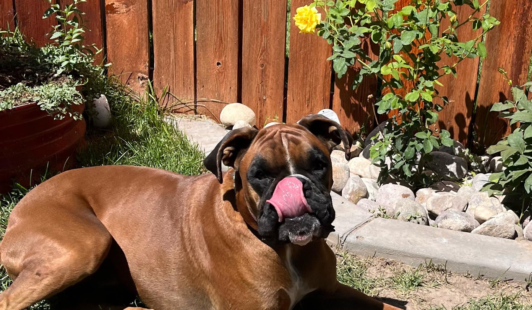 The Wedding Website of Heather Shepard and Pete Gonzales