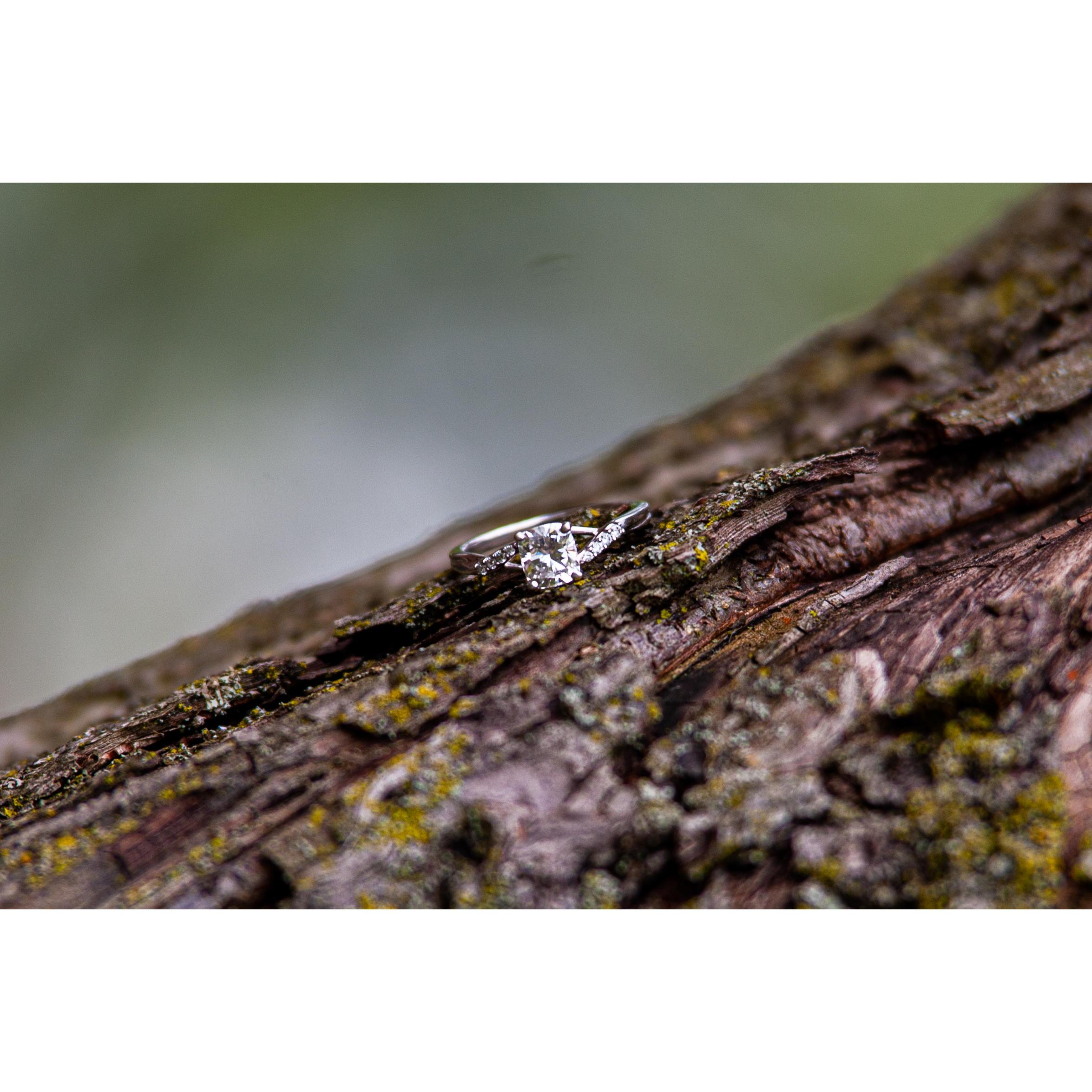 Engagement Session
August 2022
📸 Jessica Roberts