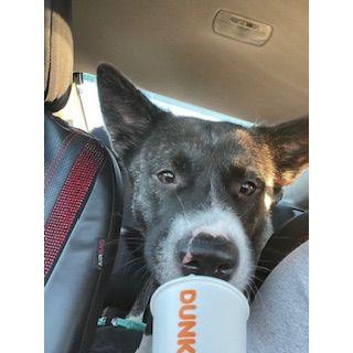 Fur Baby Eden!
