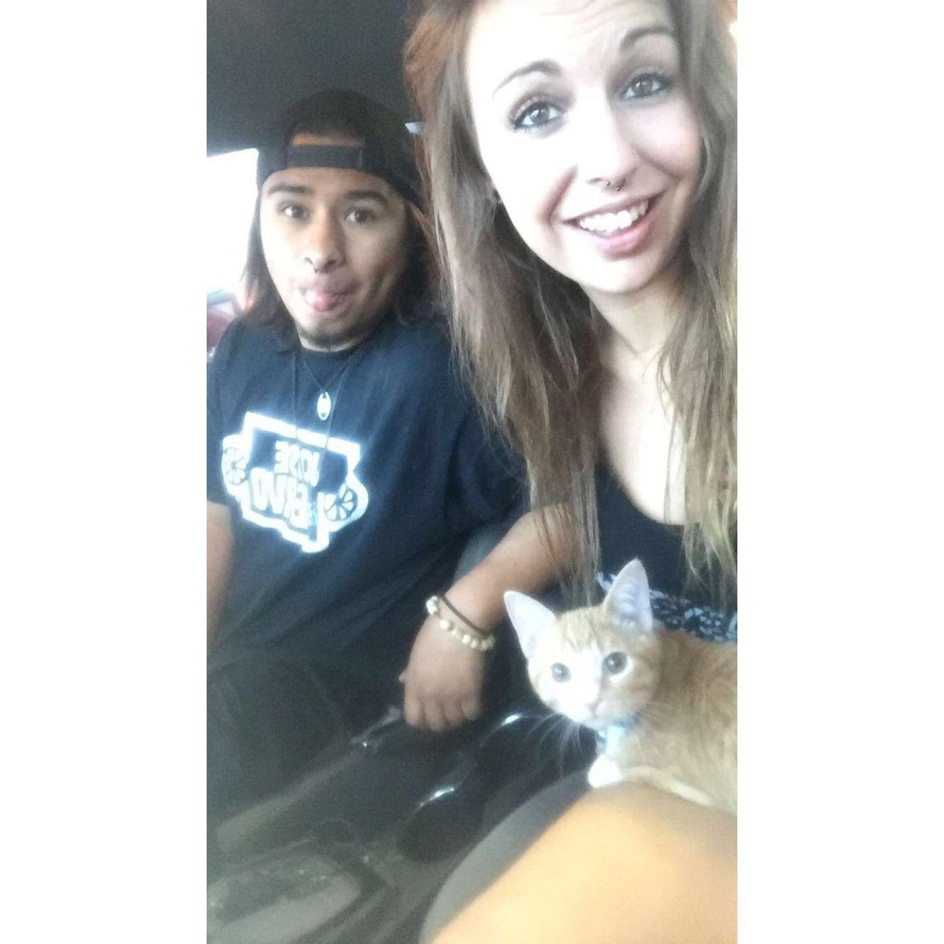 The first kitty! Mew is just picked up.