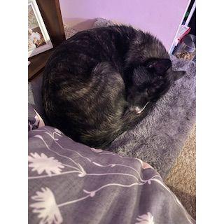 Fur Baby Eden!