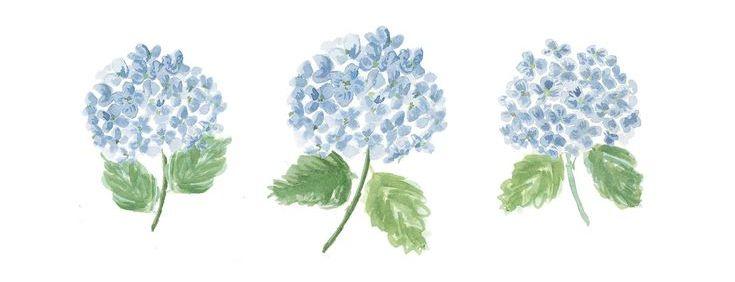 The Wedding Website of Tabitha Pearce and Luke Peters