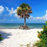 Honeymoon Island State Park