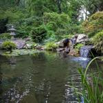 UNC Charlotte Botanical Gardens